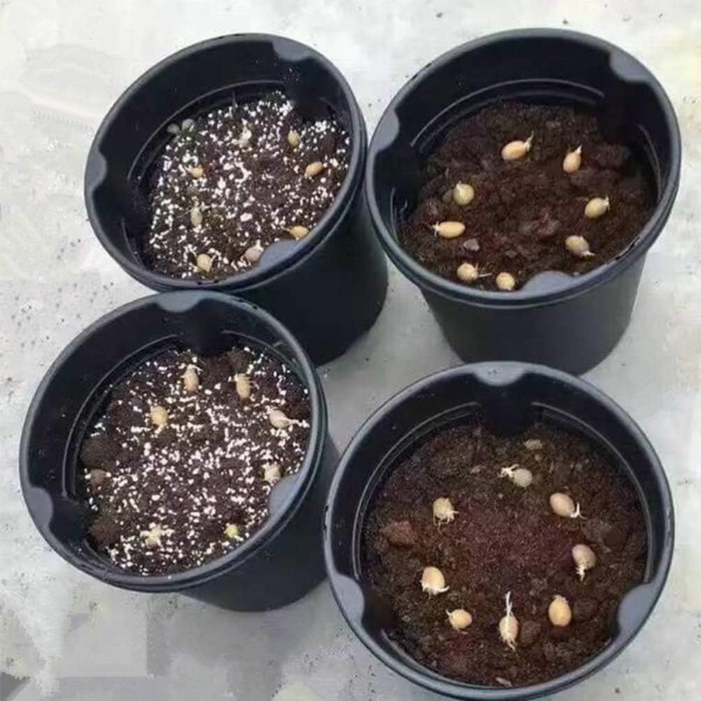 BESPORTBLE 2pcs Vegetables Growing Pot Plastic Plant Flower Nursery Planter Potato Peanut Planting Bag Pouch for Black (30 x 30 x 27cm)