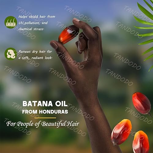 Miniatura 6 de Juego de aceite de batana para el crecimiento del cabello champú, acondicionador profundo y aceite para el cabello - Anti-pérdida de cabello para