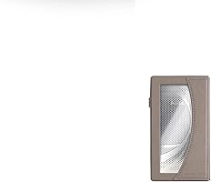 极美品/本革ケース2つ付】Astell&Kern SE300 极美品/本革ケース2つ付