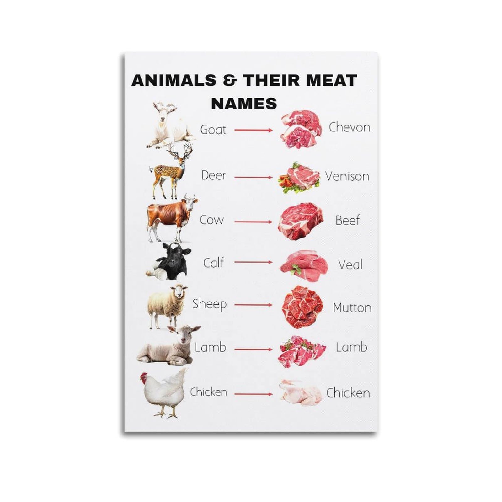 OKAHYS Animals Their Meat Names Artwork Poster Decorative Painting Canvas Wall Artworks Picture 12x18inch(30x45cm)