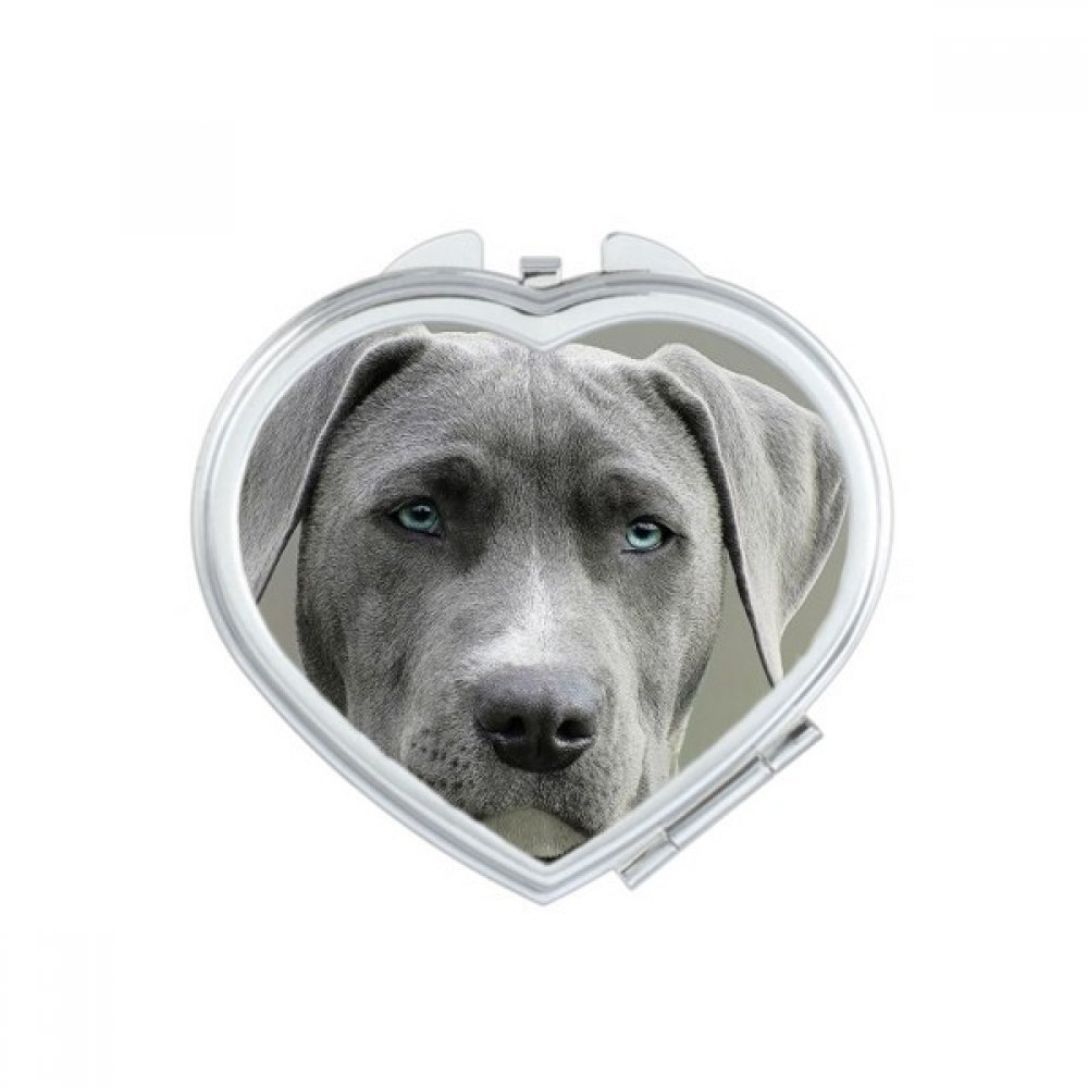 Miroir de maquillage compact avec motif de chien noir et coeur portable