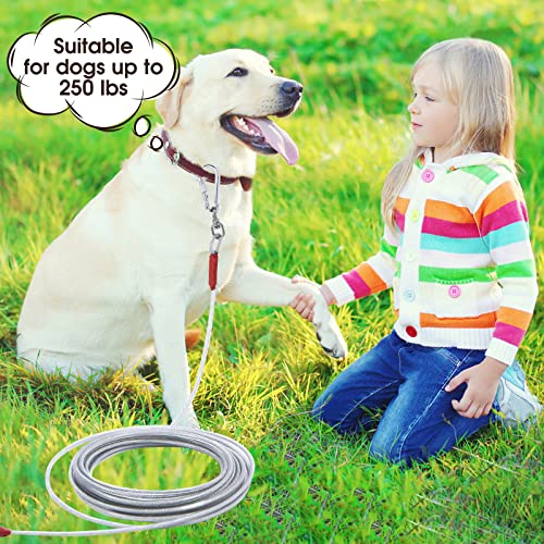 Dog Tie Out Cable for Dogs Outside Up to 125/250lbs,10/20/30/50FT Long Dog Leashe&Chains,Small-Large Dogs Runner Cable for Yard,Heavy Duty Dog Lead Line for Outdoor,Camping,Yard(250lbs 10FT, Silver) - Thumbnail 2