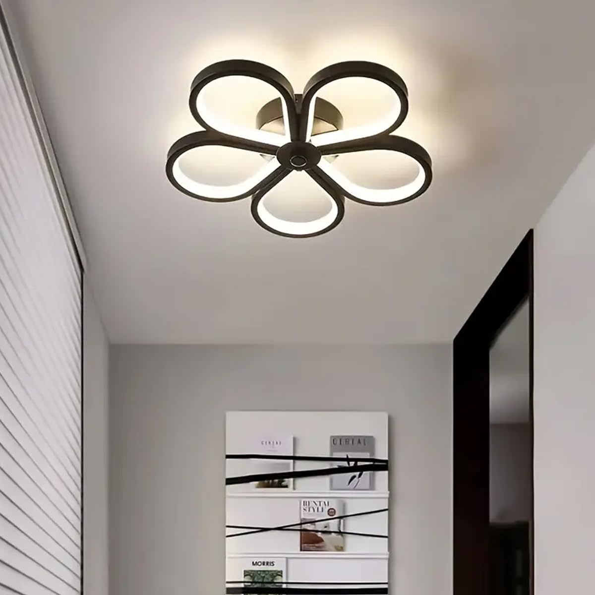 EMNDR Acrylic 3-in-1 LED Wall Light with Switch Color Ceiling Lights, Black Hallway Lights, Bathroom Ceiling Lights for Bedroom, Kitchen, Hallway, Stairway, Aisle Lamps (Ceiling Light(807))