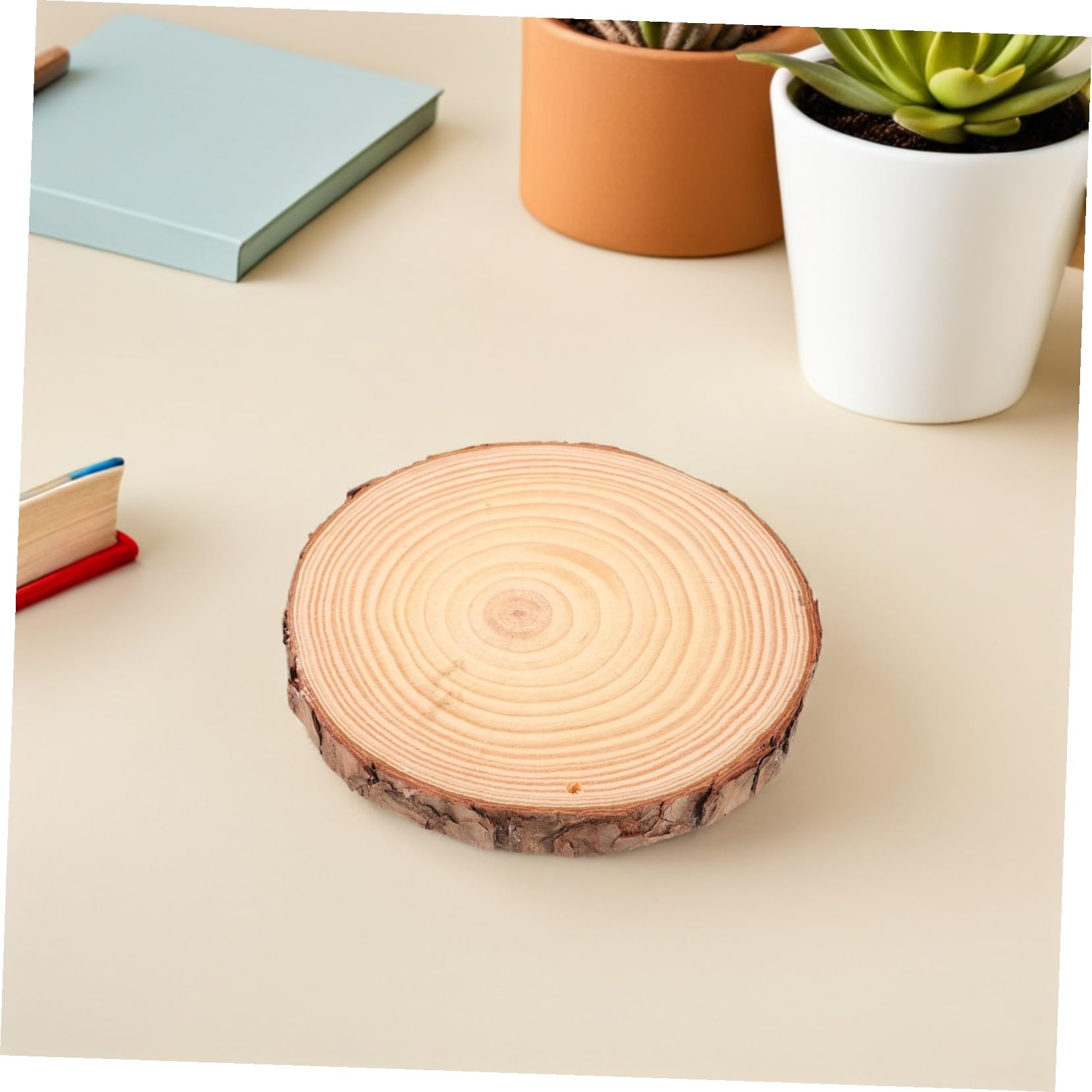 5 Stück Rustikale Holzscheiben Unbehandelte Baumscheiben mit Natürlicher Rinde für DIY Basteln Hochzeit Dekoration und Kreative Holzplättchen Gestaltung