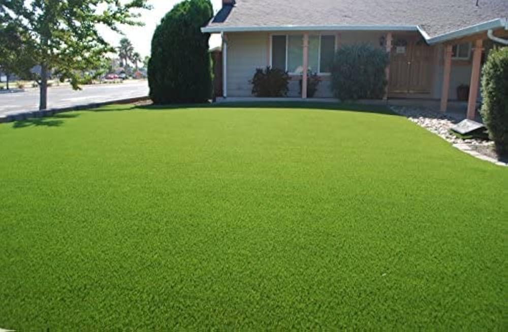American Bermuda F1 Grass Seeds For Garden & Sports Grounds, Lawn Grass For Gardening, Pack Of 3000pcs Seeds