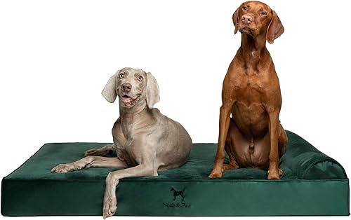 NOAH & PAW Cama gigante para perros XXL de 55 x 45 x 11 pulgadas, camas ortopédicas para perros, espuma viscoelástica de cáscara de huevo con gel