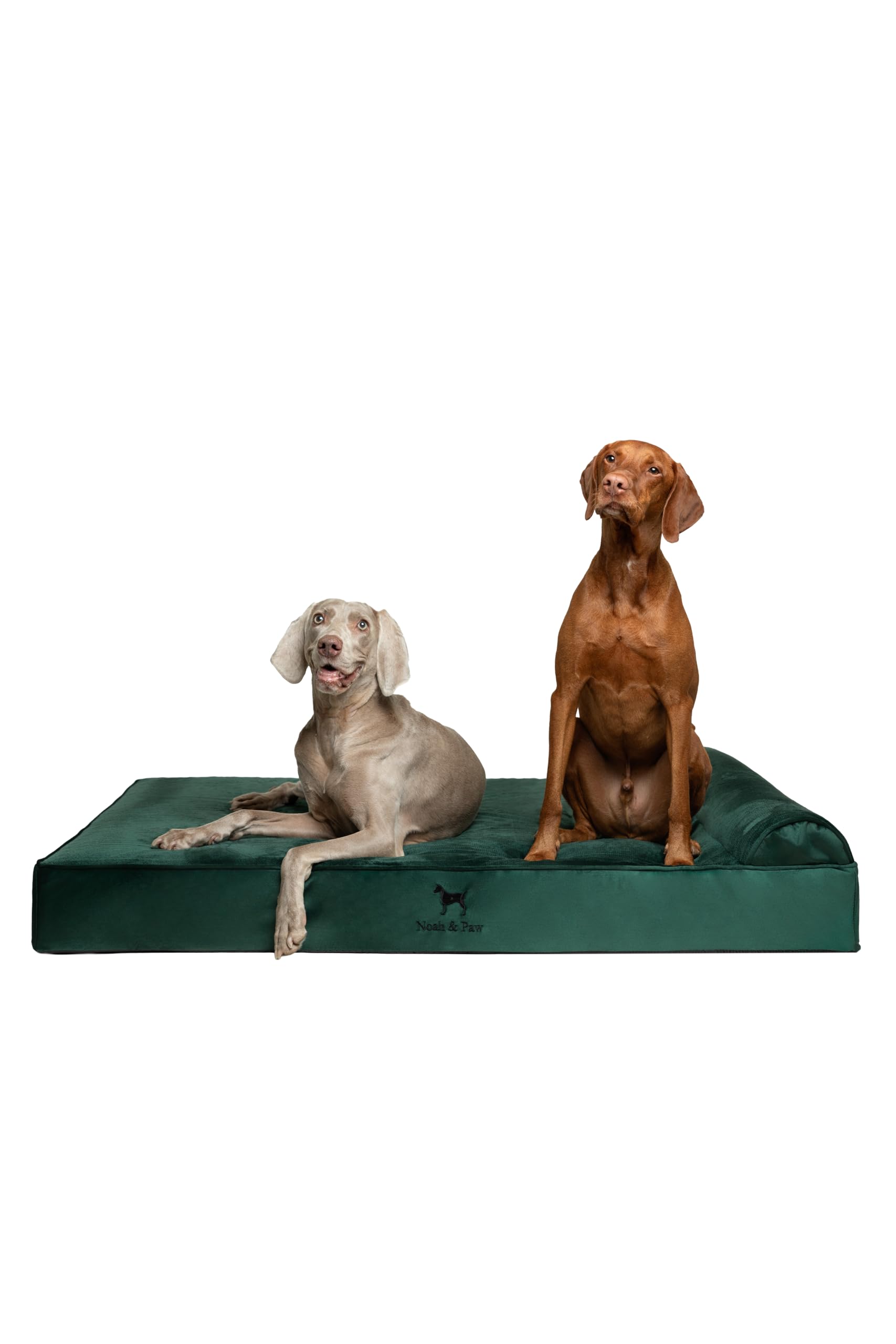 Noah & Paw Giant Pies Legowisko XXL 55x45x11 cale, Orthopedic Pies Beds, Eggshell Memory Pianka Infused z Żel chłodzący, Wodoodporny, Machine Można prać (Velvet Kolekcja)
