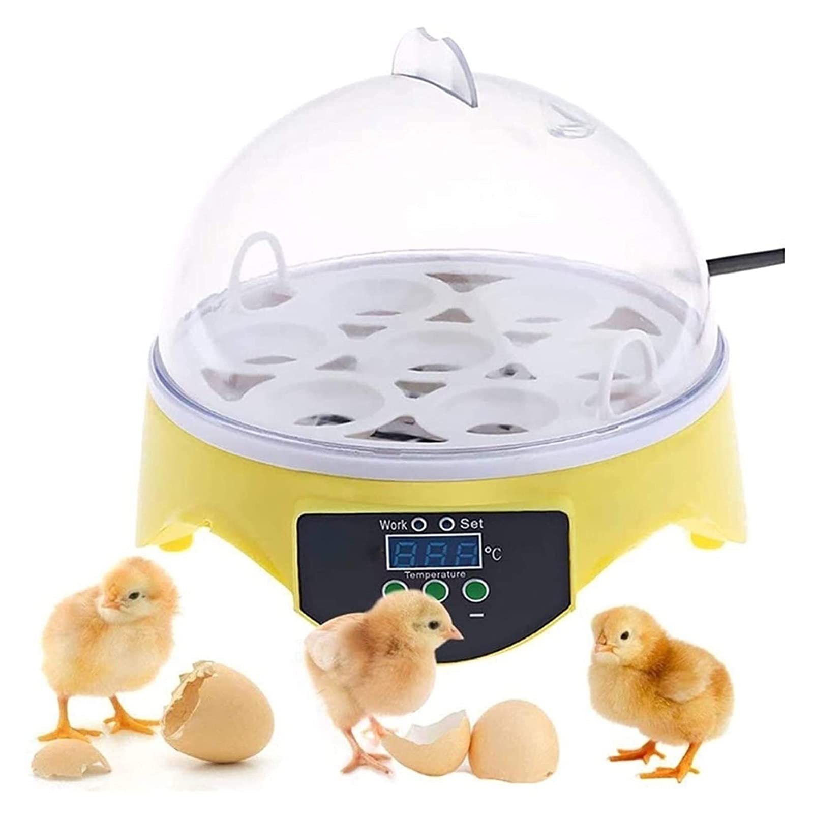 Amazon｜Egg Incubator 7 Egg Visible Designed Digital Poultry