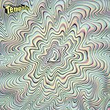 �߈˂��� Tempalay