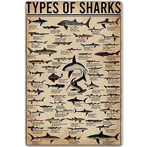 DBKGHIEDHG Cartel de estaño retro vintage con texto en inglés "Tipos de tiburones", placa de pared, escuela, club, hogar, infografía, póster de estaño, pintura de hierro, 20,3 x 30,5 cm