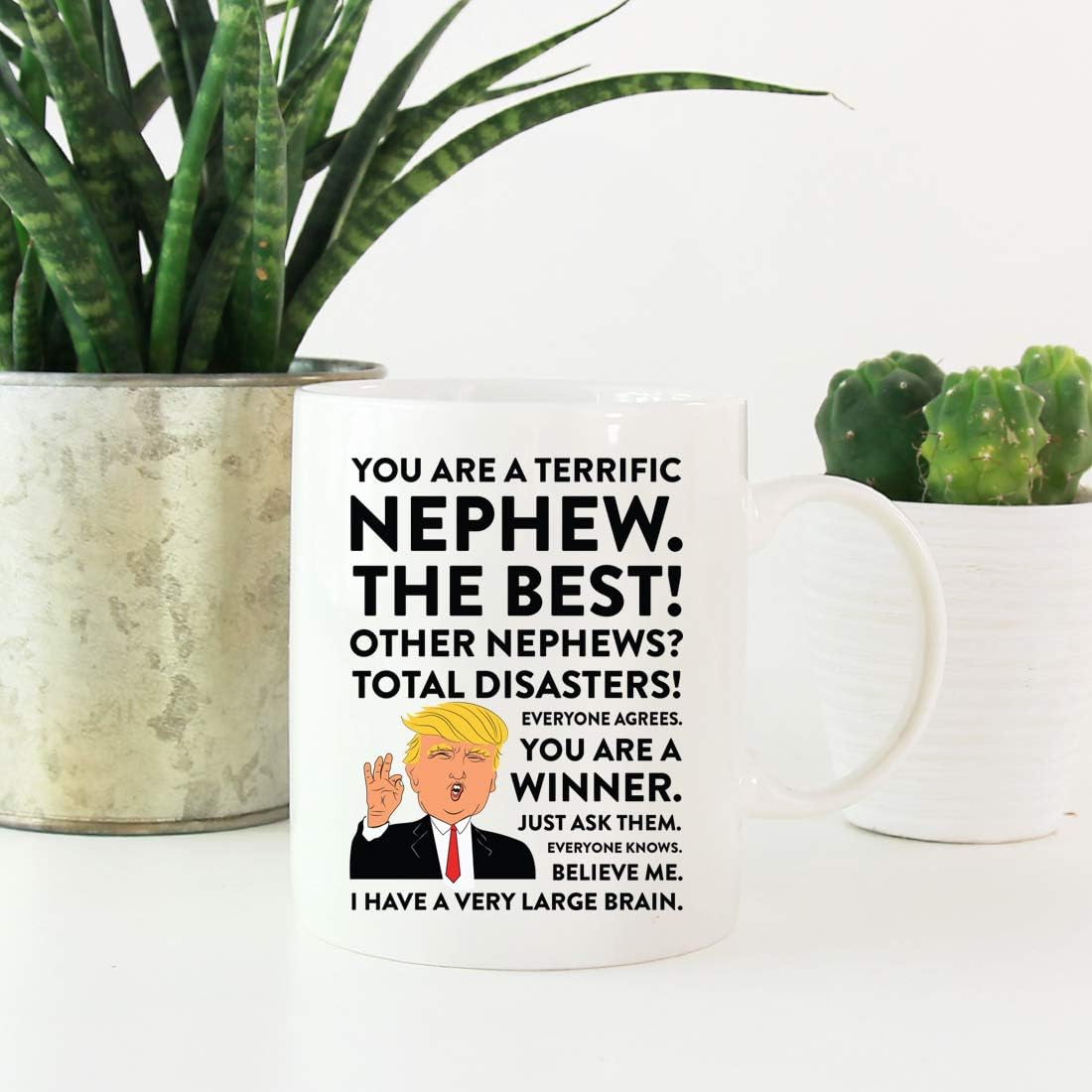 Andaz Press Funny President Donald Trump 11oz. Coffee Mug Gift, Terrific Nephew, 1-Pack, Hot Chocolate Christmas Birthday Drinking Cup Republican Political Satire for Family in Laws - Image 2