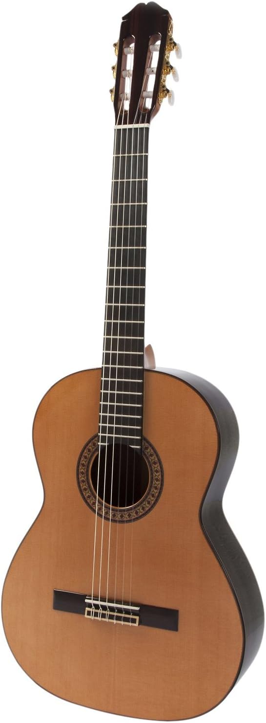 Raimundo Guitar Classical MODEL 146C Solid Rosewood back & sides. Ebony fingerboard. Solid cedar top