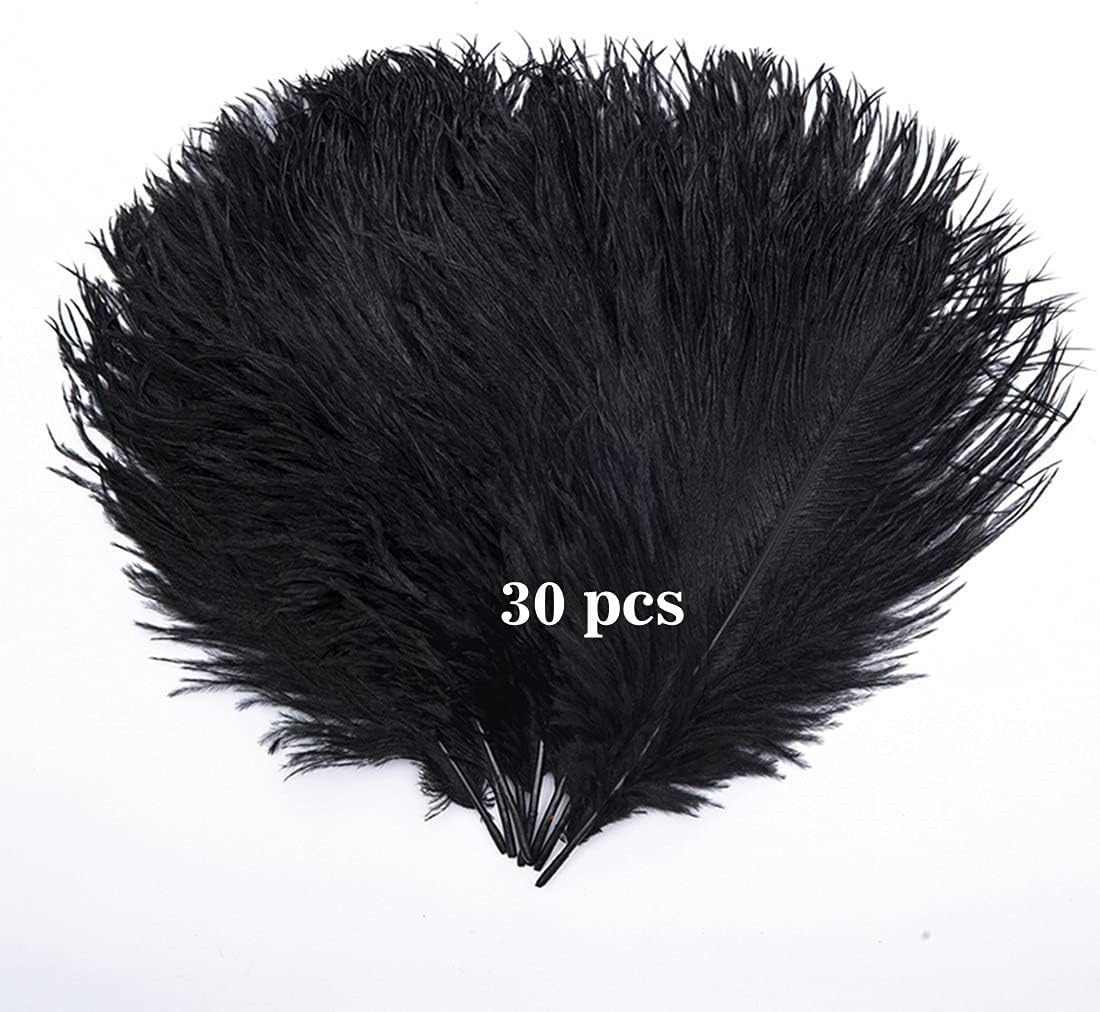Hollosport 30PCS Bulk Black Ostrich Feathers 10-12 Inches for Centerpieces Party Wedding Home Decorations Dream Catchers Vases Crafts (Black)