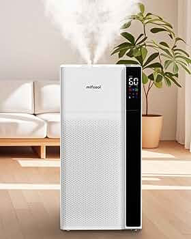 61Fd-6aAFqL._AC_UF350,