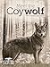 Meet the Coywolf