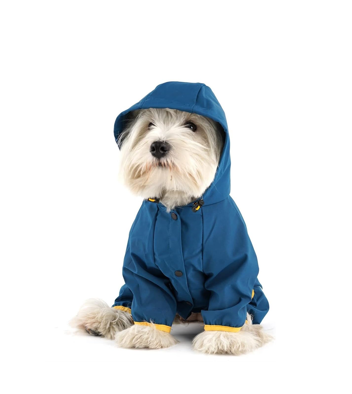 Impermeabile per Cani con Cappuccio all-Inclusive Mantella Antipioggia Impermeabile A Quattro Zampe Vestiti per Animali Domestici Vestiti per Cuccioli (Color : Steelblue, Size : M)