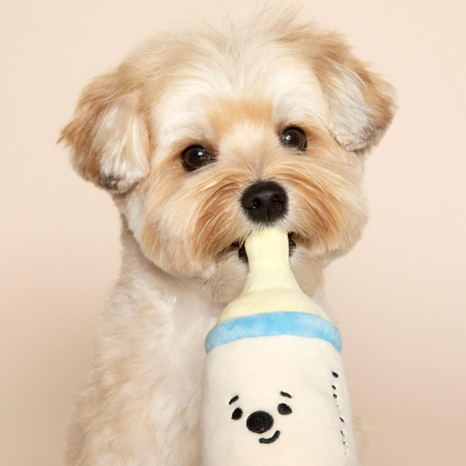 Cat Chew Toy Plush Squeaker Set (Bottle) image 5