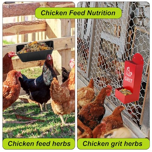 Image of 21 Oz Chicken Nesting Herbs Flowers Premixed Dried Poultry Herbs Natural Nesting Box Pads Roost House Lime Feed Grit Herbs Bedding Supplies for Chicken Duck Coop Feeder Freshness Egg Laying Coop Smell