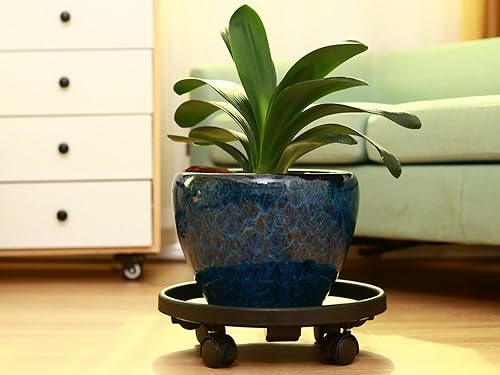 Miniatura 6 de Paquete de 5 soportes grandes para plantas con ruedas de 13 pulgadas, soportes de plástico resistente para macetas de flores, base rodante, para