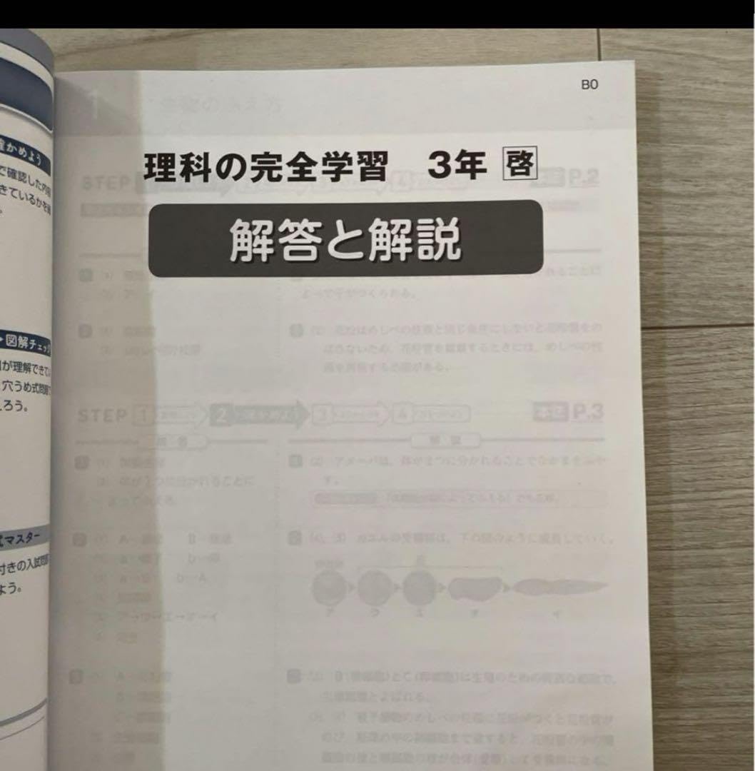 最新版　カラーテスト　定期テスト問題用紙　理科　3年　啓林館　正進社　小学3年生 最新版 カラーテスト 定期テスト問題用紙 理科 3年 啓林館 正進