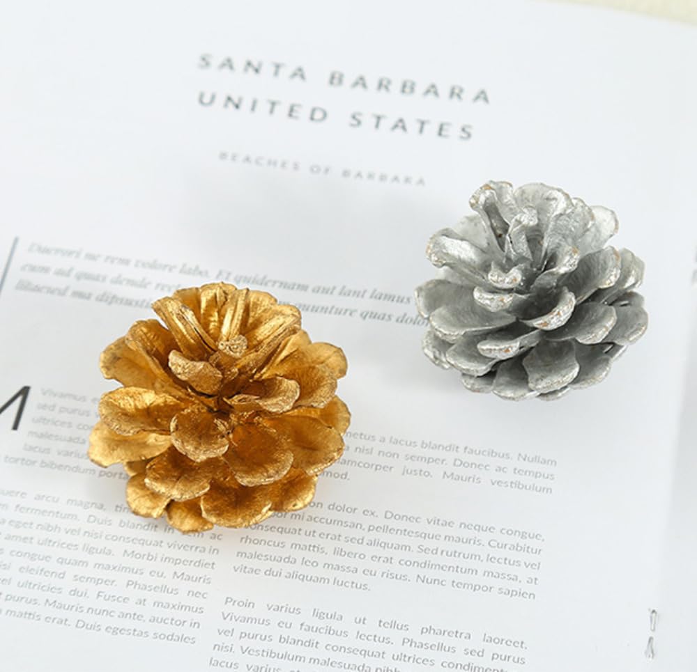24 Stück 9-12cm Weihnachts Kiefernkegel,Pine Cones Dekoration Zapfen,Natürliche Tannenzapfen Kiefernzapfen für Adventskranz Tischdeko Christbaumschmuck Winterdekoration,Silber A