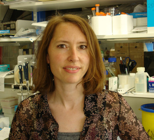 Amazon.com: Jennifer L. Rohn: books, biography, latest update