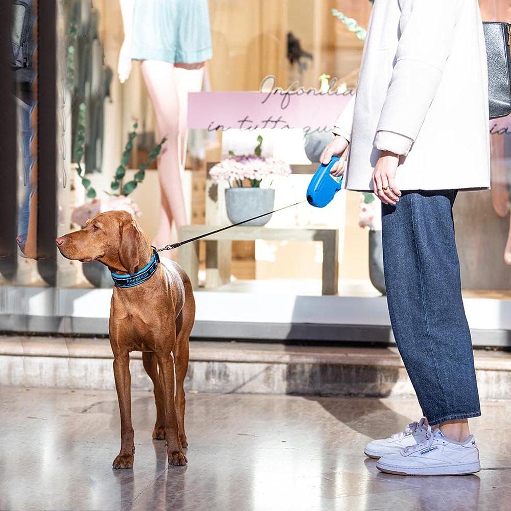 Retractable Leash for Medium Large Dogs Flippy ONE Tape M, 5 m extendable Tape, max 25 kg, Red