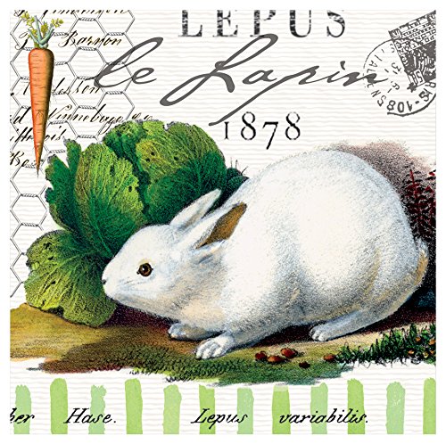 Michel Design Works 20-Count 3-Ply Paper Cocktail Napkins, Bunnies