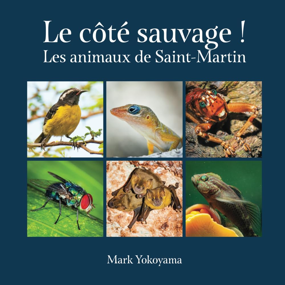 Le côté sauvage: Les animaux de Saint-Martin, Deuxième édition (French Edition)