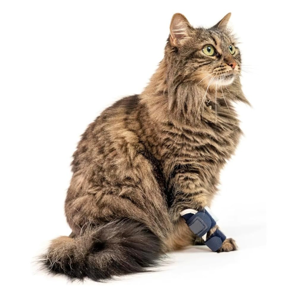 Soporte ajustable para patas de gato con férula de aluminio extraíble, estabiliza la hiperextensión del carpal/tarso, fracturas y esguinces, soporte suave y transpirable para patas delanteras o