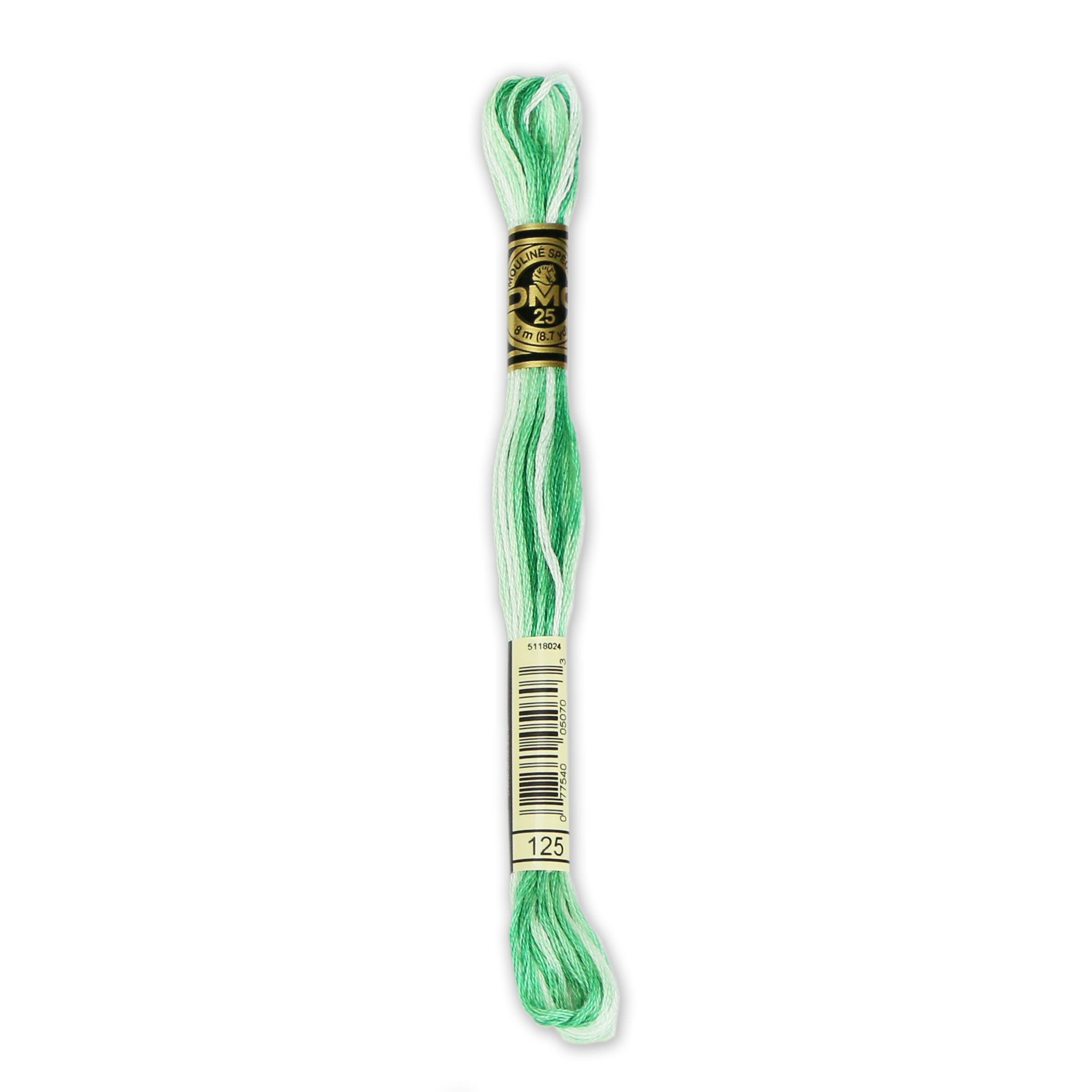 DMC 6-Strand Embroidery Cotton Floss, Variegated Sea Foam Green