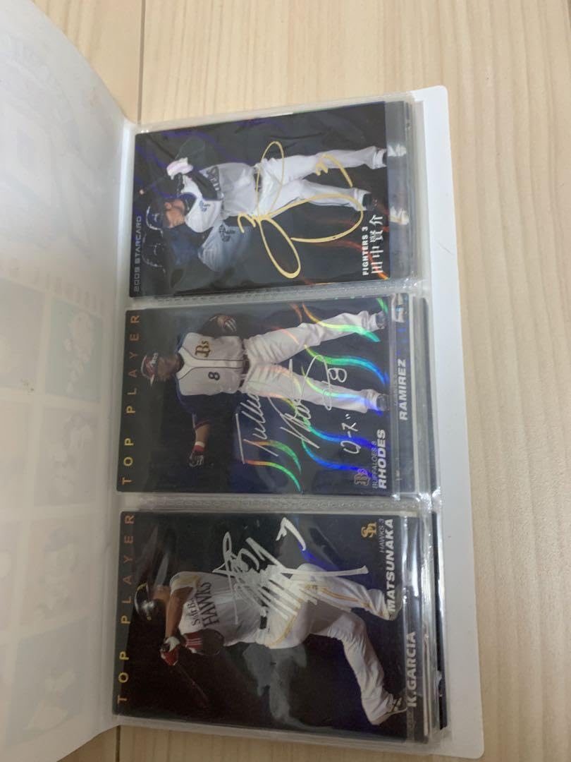 Amazon.co.jp: プロ野球チップス カード集 カルビー 野球 ベースボール