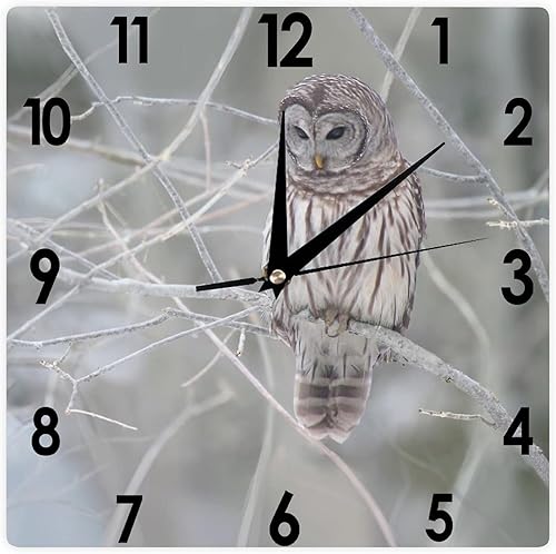 Reloj de pared cuadrado de madera decorativo con diseño de búho de 10 pulgadas, reloj de pared grande rústico para decoración de sala de estar,