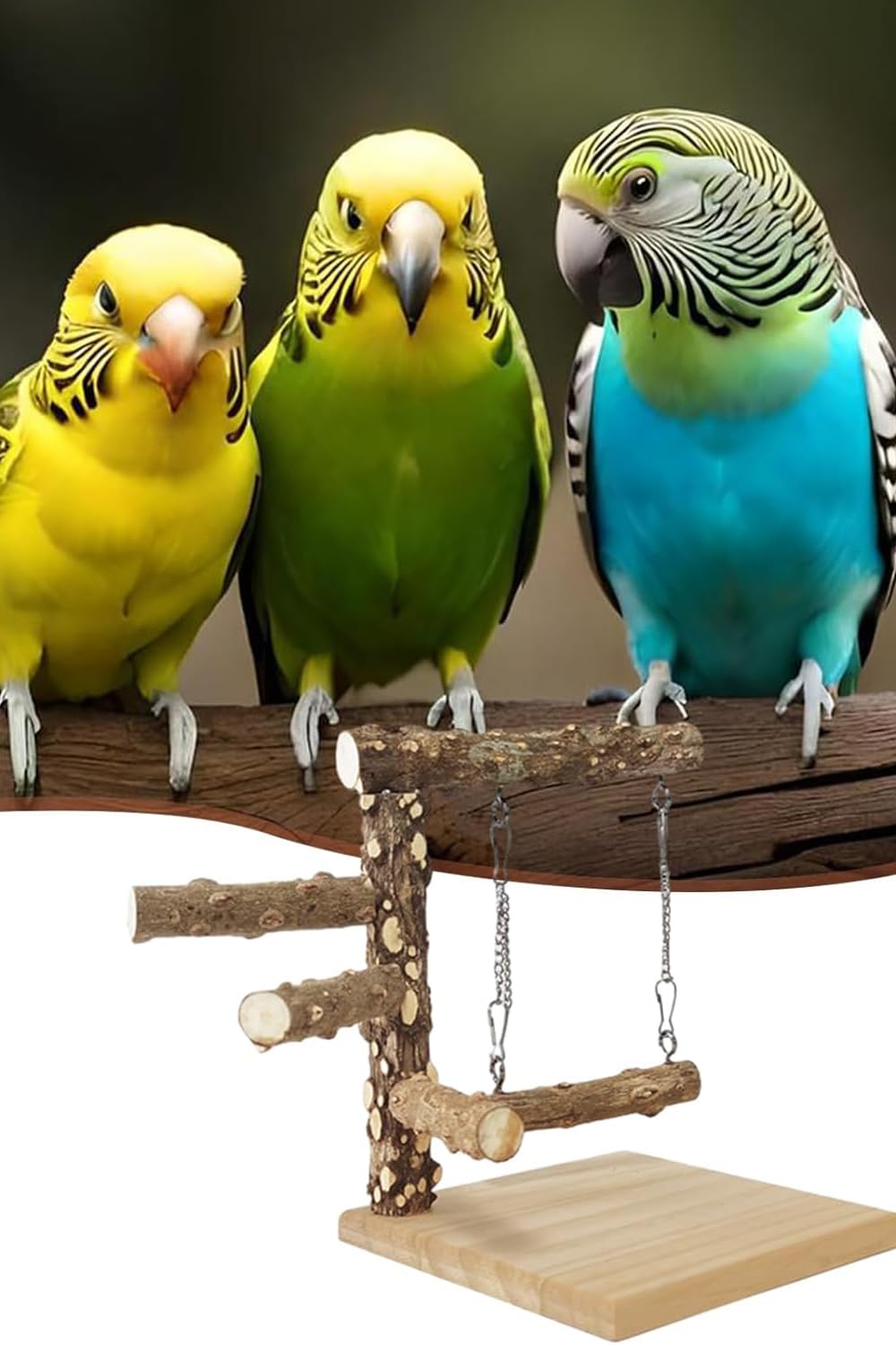 止まり木(大型オウム&インコ用) Amazon | 天然木 スタンド 鳥止まり木 インコ オウム 爪研ぎ