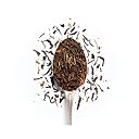 Tea Culture of The World Dream Brews | Darjeeling 50 Gram Loose Leaf Green Tea With Telescopic Tea Infuser | Healthy Gifting For Your Loved Ones - Premium Gift Box Ones - Premium Gift Box gallery image
