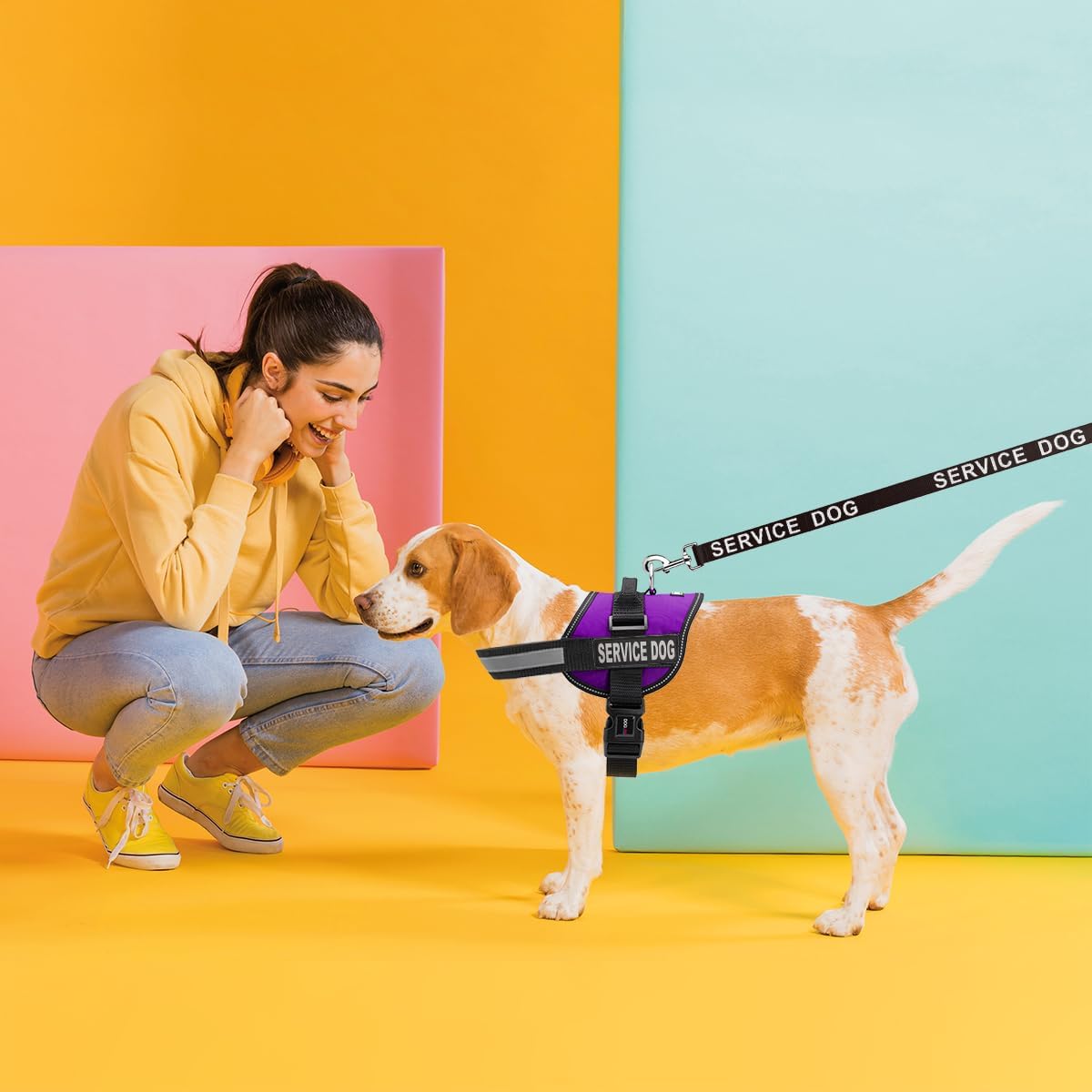 Dogline Service Dog Vest Harness Bundle Service Dog Reflective Leash & Patches Service Dog in Training Set, ADA IDs for Travel Support Therapy Dogs Girth 15 to 19 in Purple