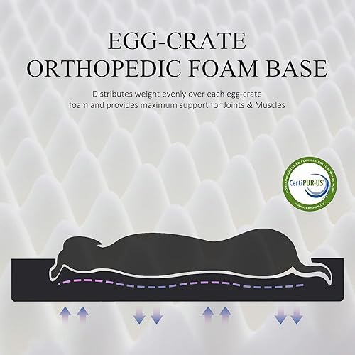 Miniatura 4 de BDEUS Camas ortopédicas para perros pequeños, medianos y grandes de hasta 50 a 100 libras para perros y gatos, tapete de espuma para mascotas