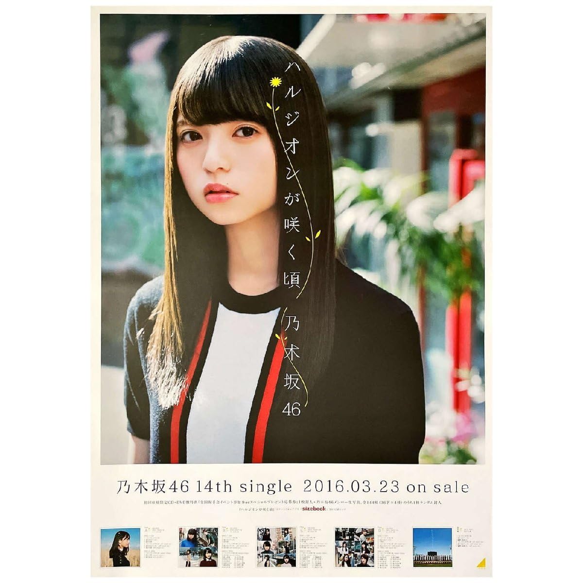 乃木坂46 ハルジオンが咲く頃 サインポスター Amazon.co.jp: 乃木坂46 ハルジオンが咲く頃 メンバー全員直筆サイン