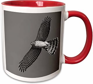 3dRose Photograph of Coopers Hawk in flight in search of its next meal. 15oz Two-Tone Red Mug