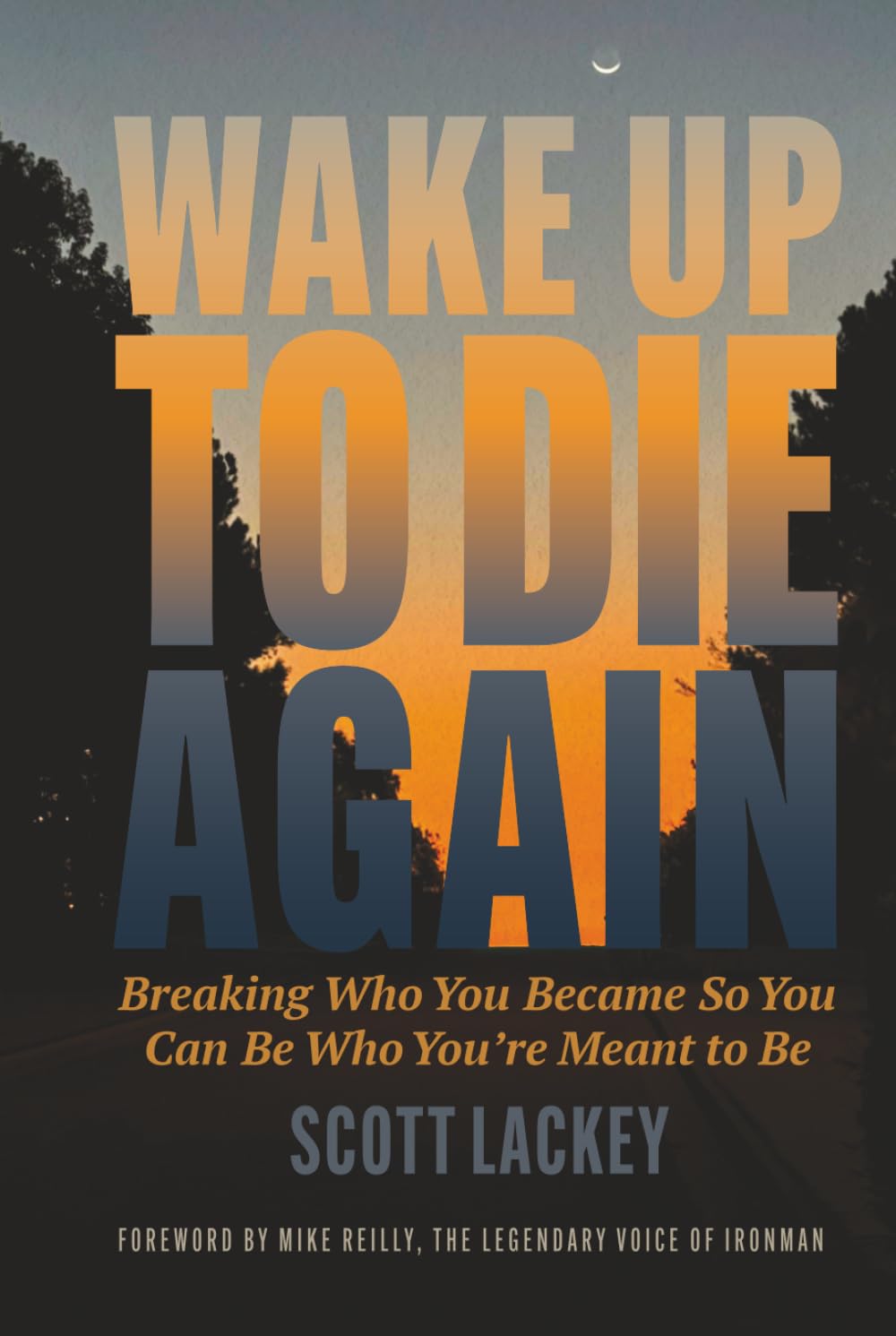 Wake Up to Die Again: Breaking Who You Became So You Can Be Who You're Meant to Be