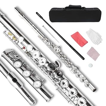 WUQIMUSC Flute 17 Key Closed hole C flute for beginner Cleaning kit with Gloves Cloth Tuning Rod hard Case Nickel Siver, 17 key Flute instrument Student flutes(Closed Hole,silver)