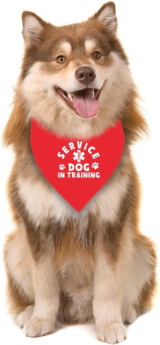 Service Dog in Training Dog Bandana, Red Training Pet Scarf for Small Medium Dogs, Puppy Triangle Bib, Pet Scarf Accessories for Dogs Lovers Mom Gifts image 4