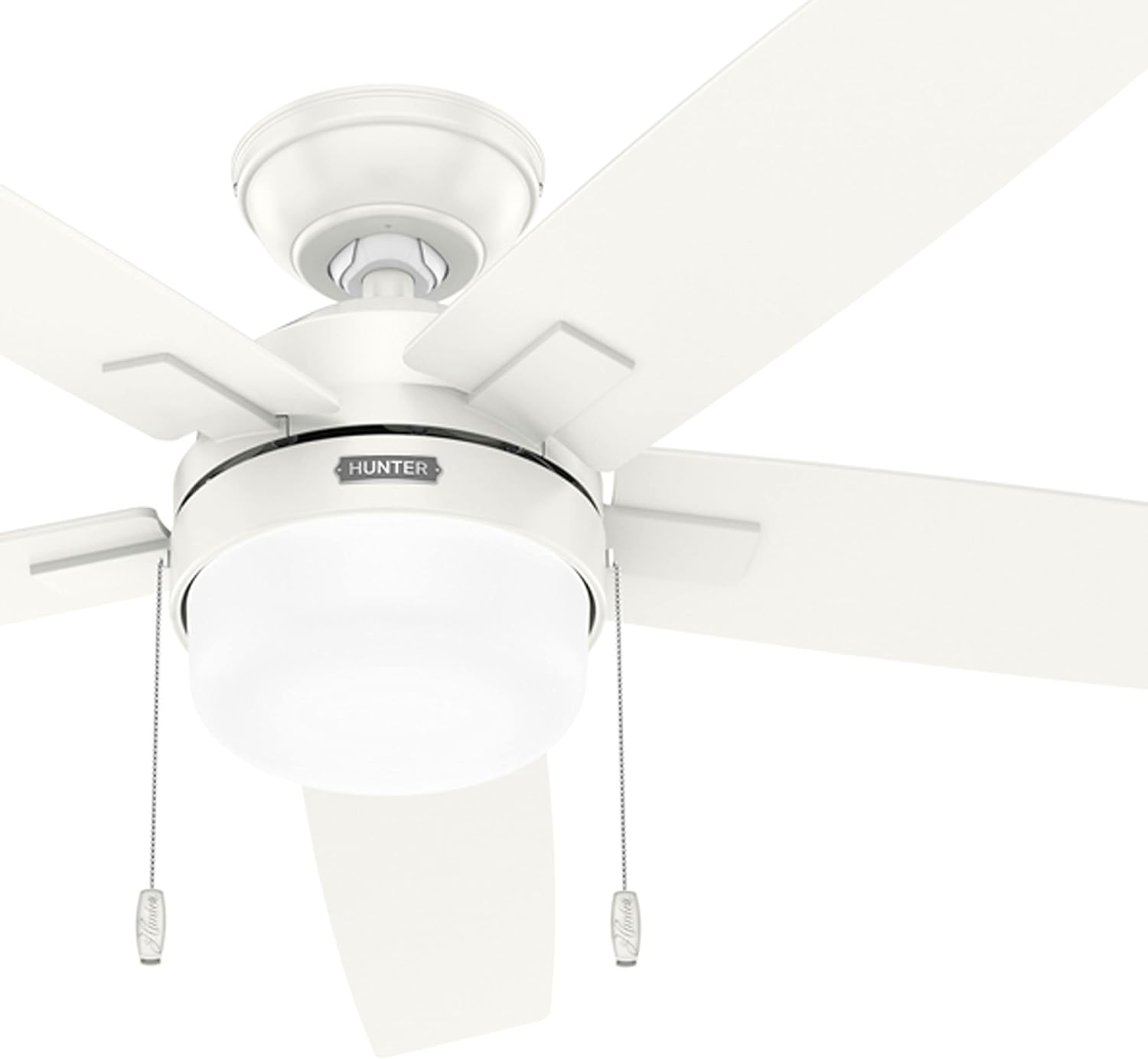 Close-up of Hunter Ceiling Fan's central housing and light kit