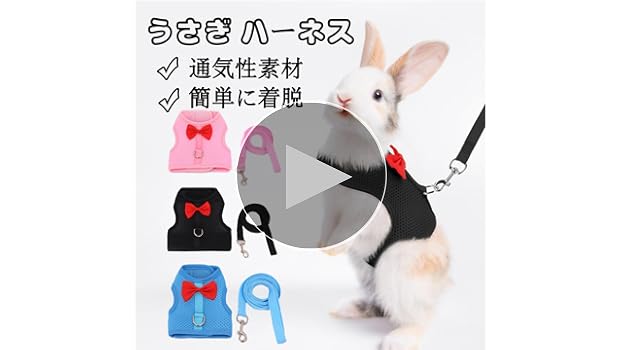 うさぎモルモット等小動物用用品セット Amazon | Hitasi ウサギ ハーネス うさぎ ハーネス リード