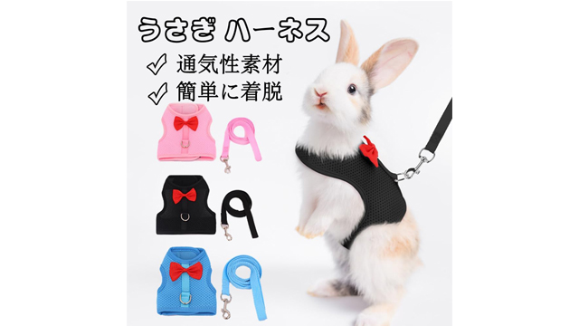 【確認用】リード　うさぎ用　ハーネス うさぎ ウサギ ハーネス リード 付 小動物 モルモット