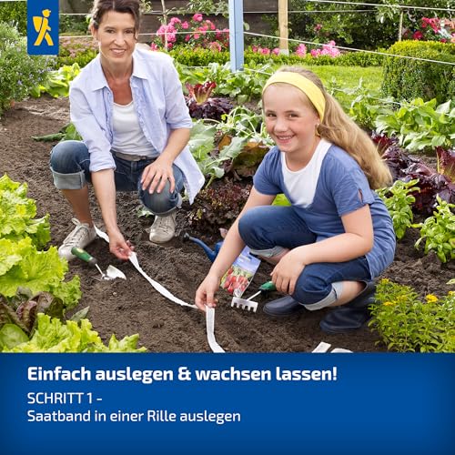 Kiepenkerl Möhren-Triosamen Short ‘N Sweet, Salto, Jubila 1044880 - Möhrensamen für süße Chantenay & knackige Sommermöhren, Saatband ideal für Topf & Hochbeet