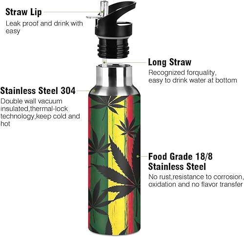 Miniatura 3 de BPA-Free Sports Water Bottle with Straw 20 Oz, Stainless Steel Water Bottle for Gym Outdoor Travel School, Black Leaves Colorful Stripes