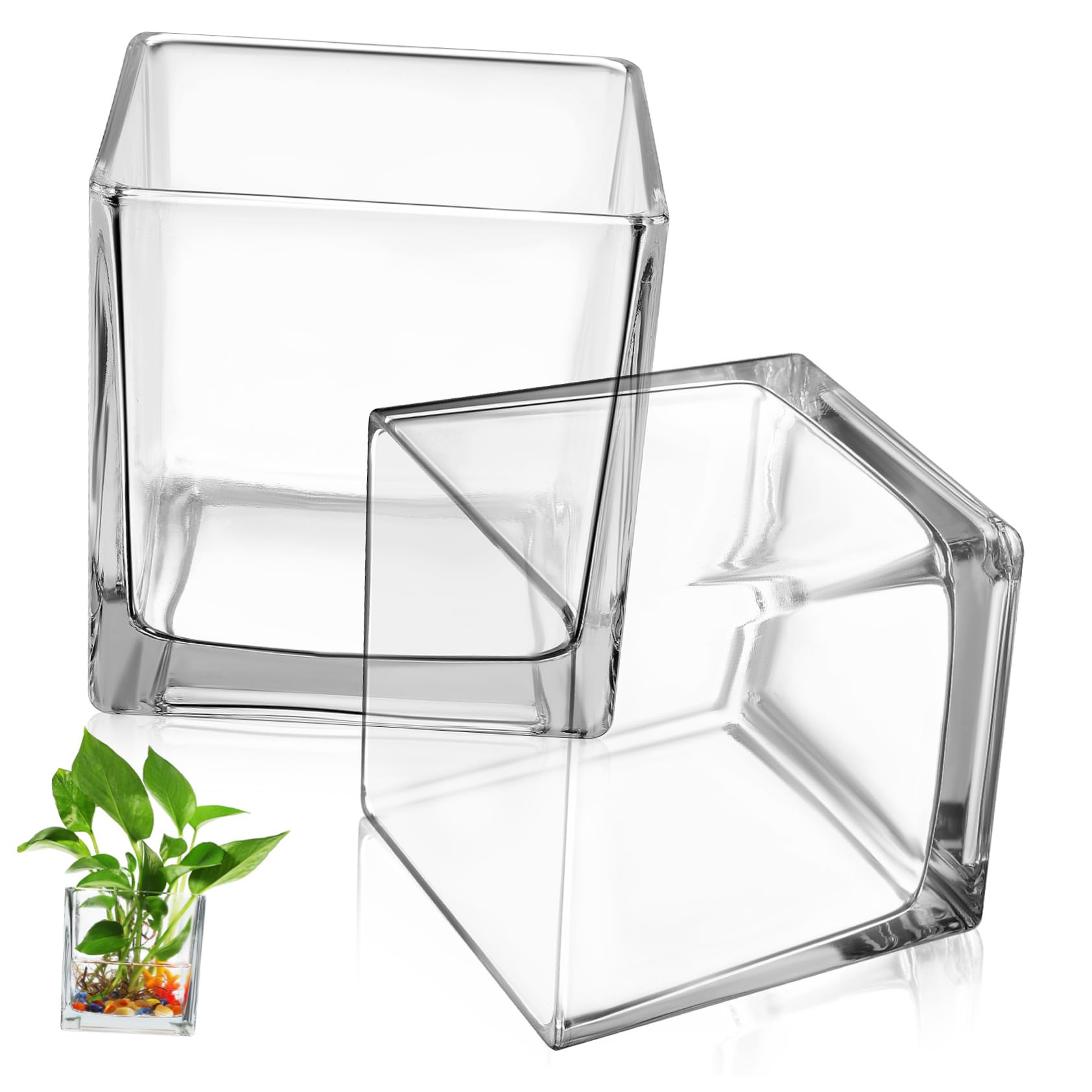Vases cube en verre transparent lot de 2 pots carrés centre de table fleurs