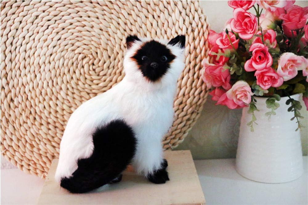 oggetti di scena per la meditazione