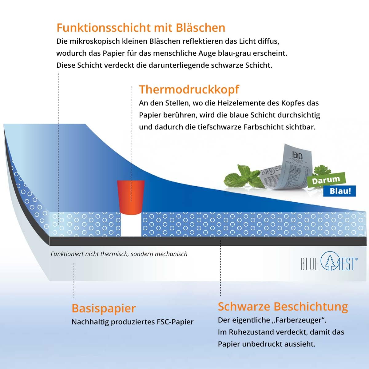 300 Stk. Blue4est® Öko Thermorollen mit SEPA Lastschrift | 57x15x12 mm Ø35mm | Länge: 15 m | blaues Thermopapier | EC Cash Geräte Rollen | HUTNER